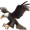 eagle on platform Apple
