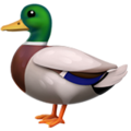 duck on platform Apple
