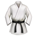martial arts uniform on platform Apple