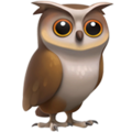 owl on platform Apple