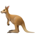 kangaroo on platform Apple