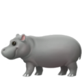hippopotamus on platform Apple