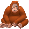 orangutan on platform Apple