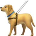 guide dog on platform Apple