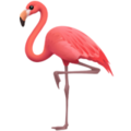 flamingo on platform Apple