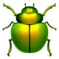 beetle on platform Apple