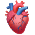 anatomical heart on platform Apple