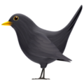 black bird on platform Apple