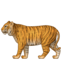 tiger on platform Apple