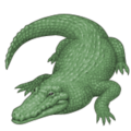 crocodile on platform Apple