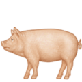 pig on platform Apple