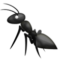 ant on platform Apple