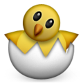hatching chick on platform Apple