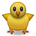 front-facing baby chick on platform Apple