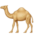 camel on platform Apple