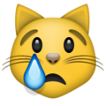 crying cat on platform Apple