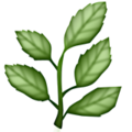 herb on platform Apple