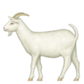 goat on platform Apple