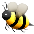 bee on platform Apple