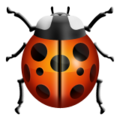 ladybug on platform Apple