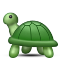 turtle on platform Apple