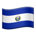 🇸🇻