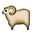 ewe on platform Apple