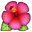 hibiscus on platform Apple