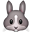 rabbit on platform Apple