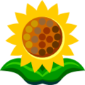 sunflower on platform au kddi