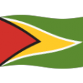flag: Guyana on platform BlobMoji