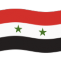 🇸🇾