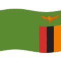 🇿🇲