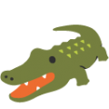 🐊