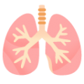 lungs on platform BlobMoji