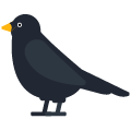 black bird on platform Emojiall Bubble