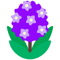hyacinth on platform Emojiall Bubble