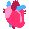 anatomical heart on platform Emojiall Bubble