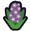 hyacinth on platform Emojiall Classic