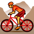 person mountain biking on platform EmojiDex