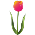 tulip on platform EmojiDex
