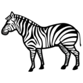 zebra on platform EmojiDex