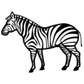 🦓