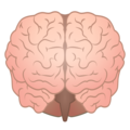 brain on platform EmojiDex
