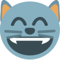 grinning cat with smiling eyes on platform EmojiOne