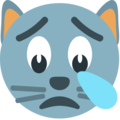 crying cat on platform EmojiOne