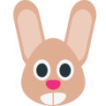 🐰