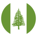 flag: Norfolk Island on platform EmojiOne