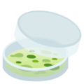 petri dish on platform EmojiOne