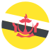 🇧🇳